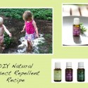 DIY Natural Insect Repellent with Essential Oils