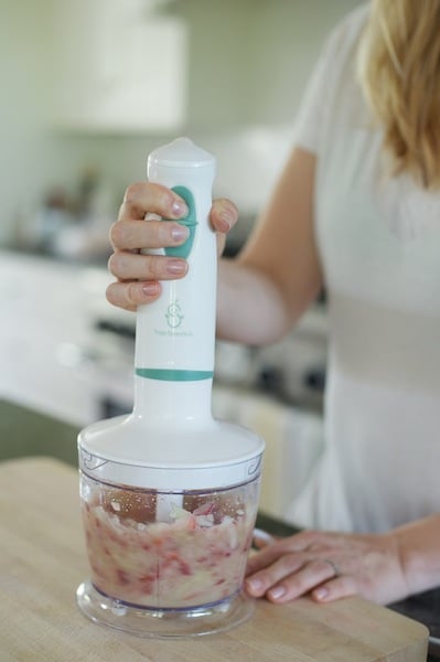 Sage Spoonfuls Blender Sage Spoonfuls Blender