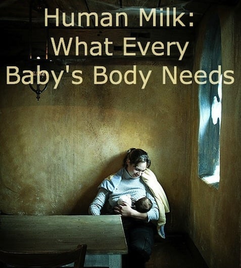 Human Milk: What Every Baby's Body Needs Human Milk: What Every Baby's Body Needs