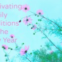Cultivating Family Traditions for the New Year