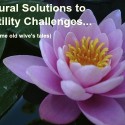 Natural Solutions to Fertility Challenges… and some old wive’s tales