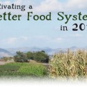 Cultivating a Better Food System in 2013