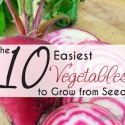 The 10 Easiest Vegetables to Grow from Seeds