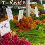 The-REAL-Reasons-to-Buy-Organic1