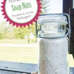 DIY Soap Nuts Detergent