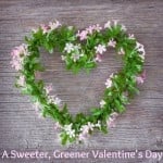 Make this Valentine's Day more meaningful, healthy, and loving with Fair Trade and eco-friendly gifts.