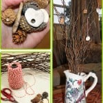 Nature Activity