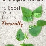 Boost Fertility Naturally