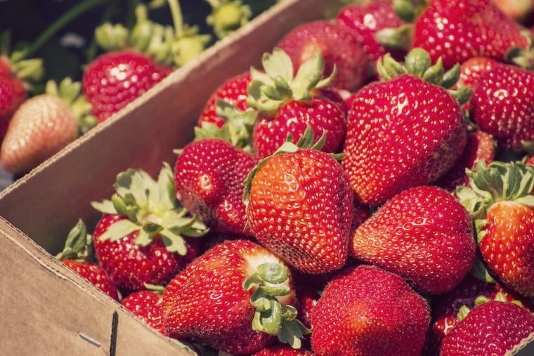 2016 Dirty Dozen Strawberries Found to Contain More Pesticides than Apples