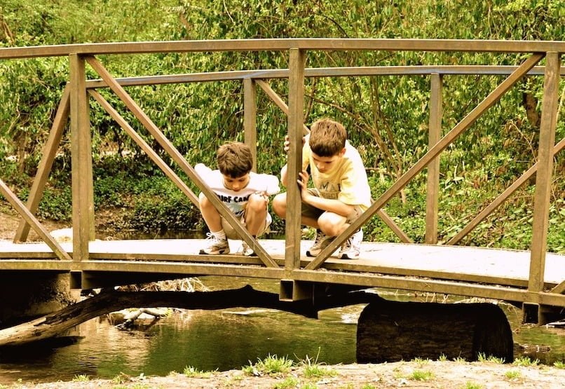 Childhood simplified. Adorable young boys on a bridge enjoying the simplicity of nature