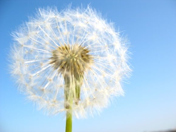 How Do I Know If My Child Has Allergies?