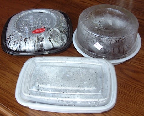 DIY Containers for seedlings DIY Containers for seedlings