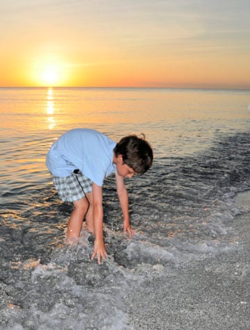 little boy at the beach at sunset