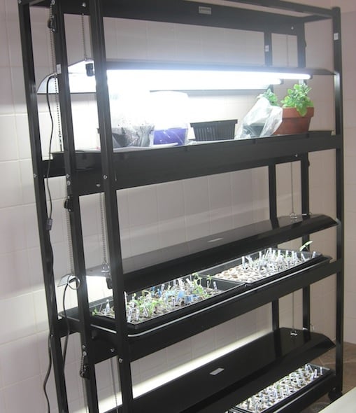 indoor light for plant seedlings