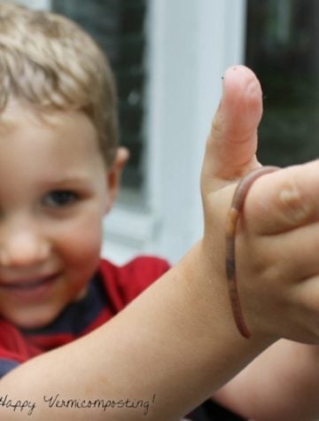 how to compost with worms