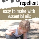 Diy Natural Insect Repellent With