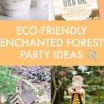 Enchanted Forest Theme Party