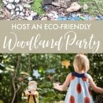 Enchanted Forest Theme Party