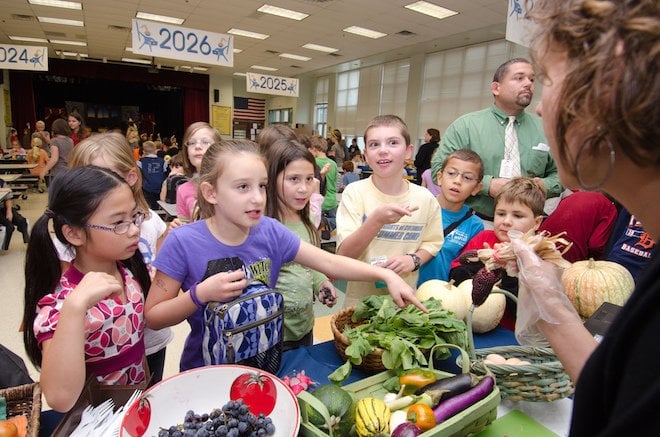 Healthier School Lunches: Why & How to Make it Happen