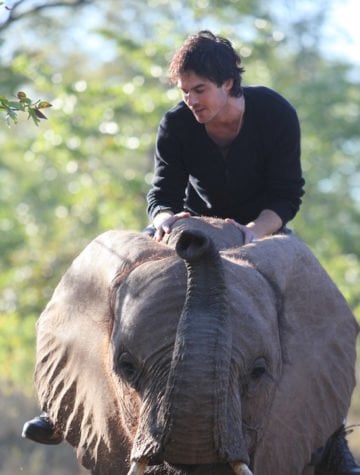The more you know eco: Ian Somerhalder Foundation