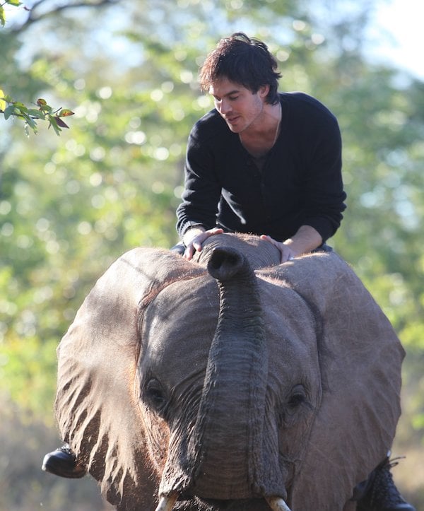 The More You Know Eco: The Ian Somerhalder Foundation