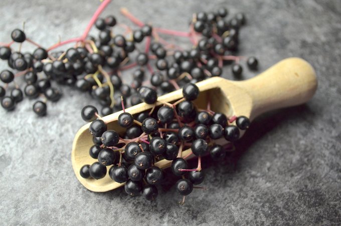 Boost Your Child's Immune System with Homemade Elderberry Syrup