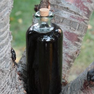 Boost Your Child's Immune System with Homemade Elderberry Syrup