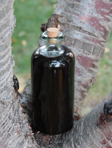 Boost Your Child's Immune System with Homemade Elderberry Syrup