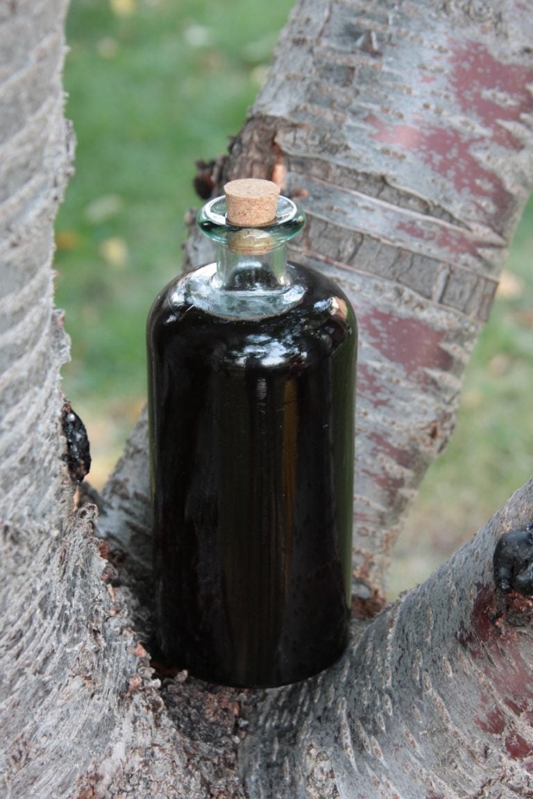 Boost Your Child’s Immune System with Homemade Elderberry Syrup