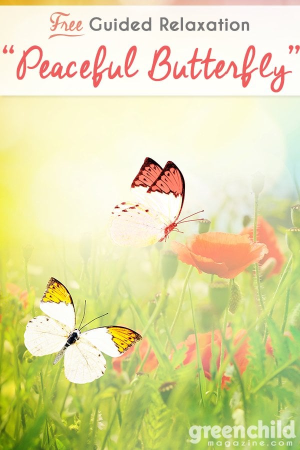 Peaceful Butterfly Guided Relaxation script for kids