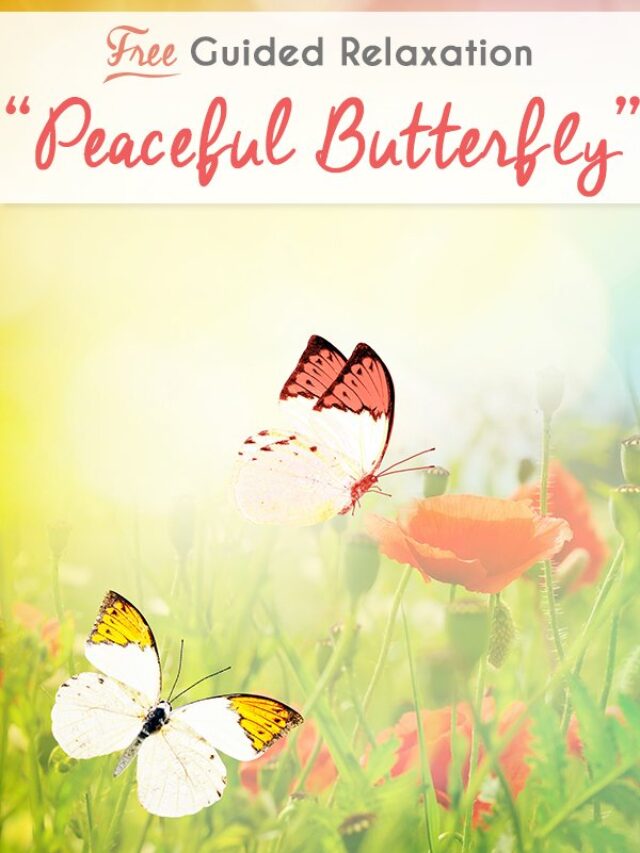 Guided Relaxation: Peaceful And Calming Butterfly Meditation