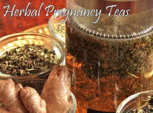 Nourishing Herbal Pregnancy Tea Recipes - Green Child Mag