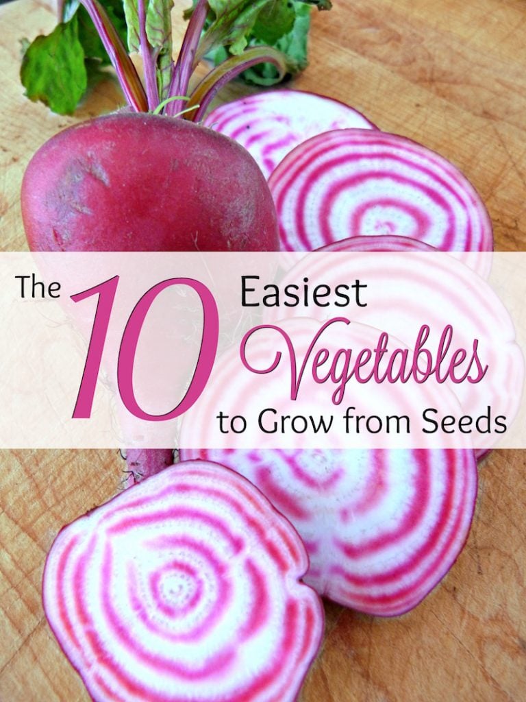 the-10-easiest-vegetables-to-grow-from-seeds