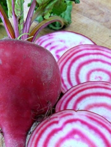 The 10 Easiest Vegetables to Grow from Seeds