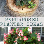 Repurposed Planter Ideas pin