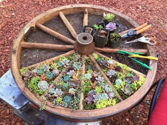 Creative repurposed flower planters