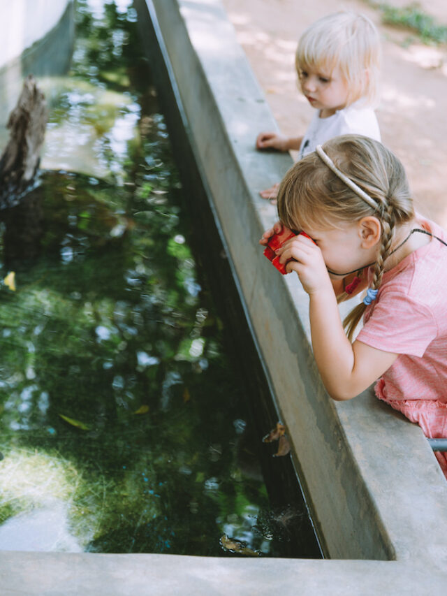 22 Ideas for Celebrating Earth Day Outside Story