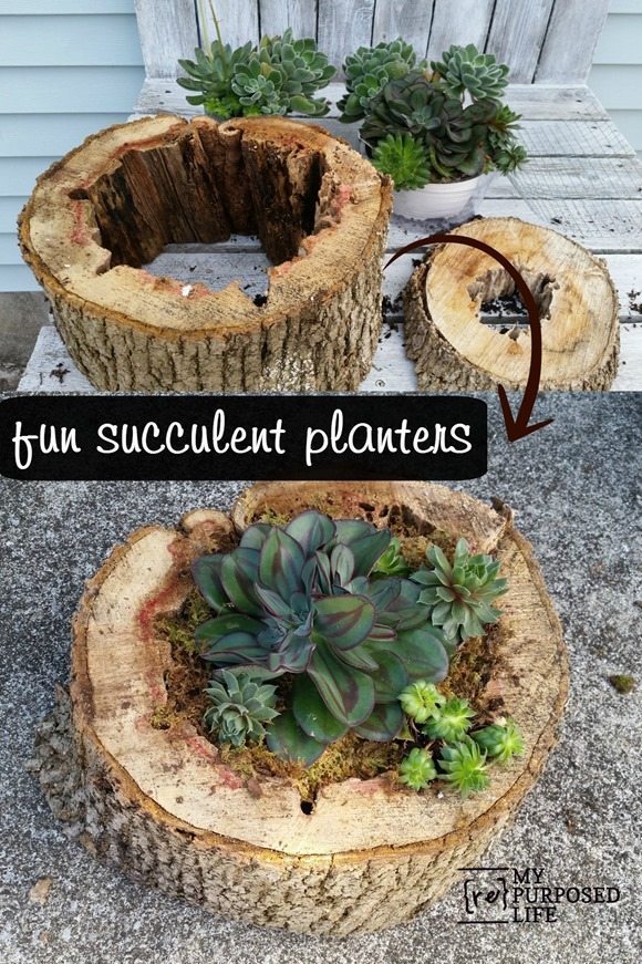 30 Creative Repurposed Planter Ideas for Your Home & Garden