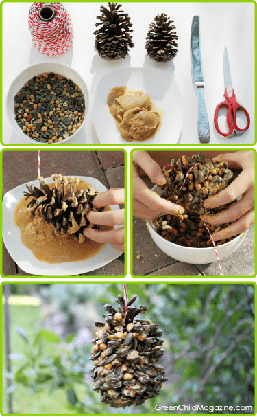 DIY Organic Nuts & Seeds Bird Feeder Craft