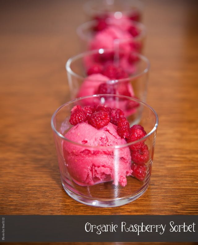 Organic Raspberry Sorbet