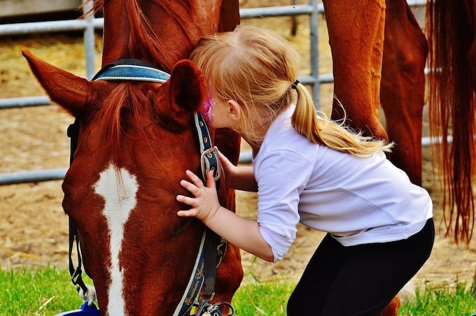 Encouraging Young Animal Advocates