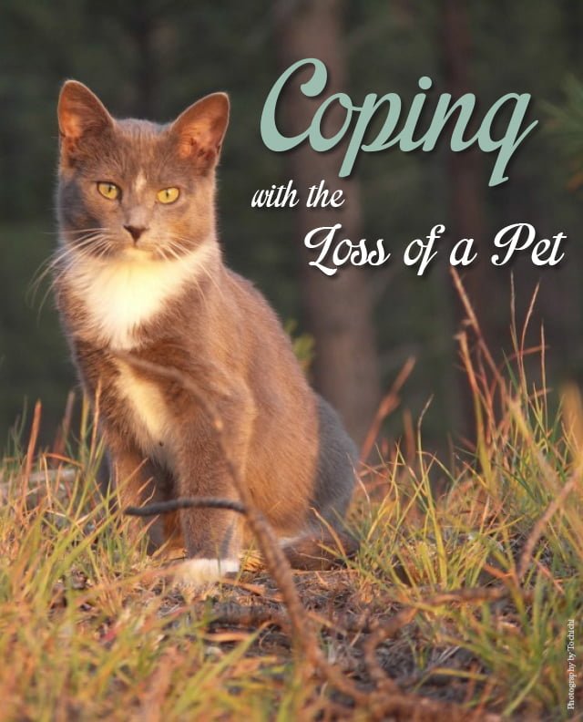 Coping with the Loss of a Pet