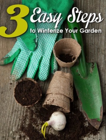 Preparing Your Garden for Winter: How to Winterize Your Garden in 3 Simple Steps