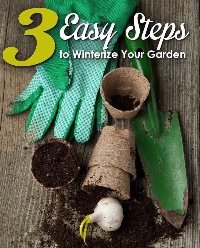 3 Simple Ways to Prepare Your Garden for Winter