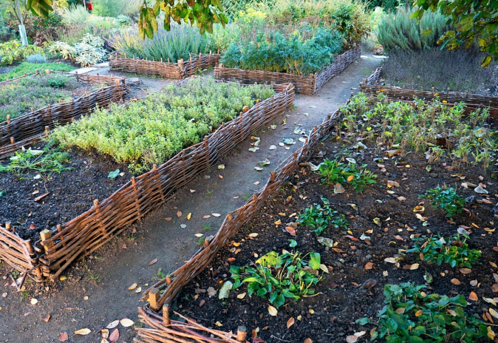 how to prepare your garden for winter