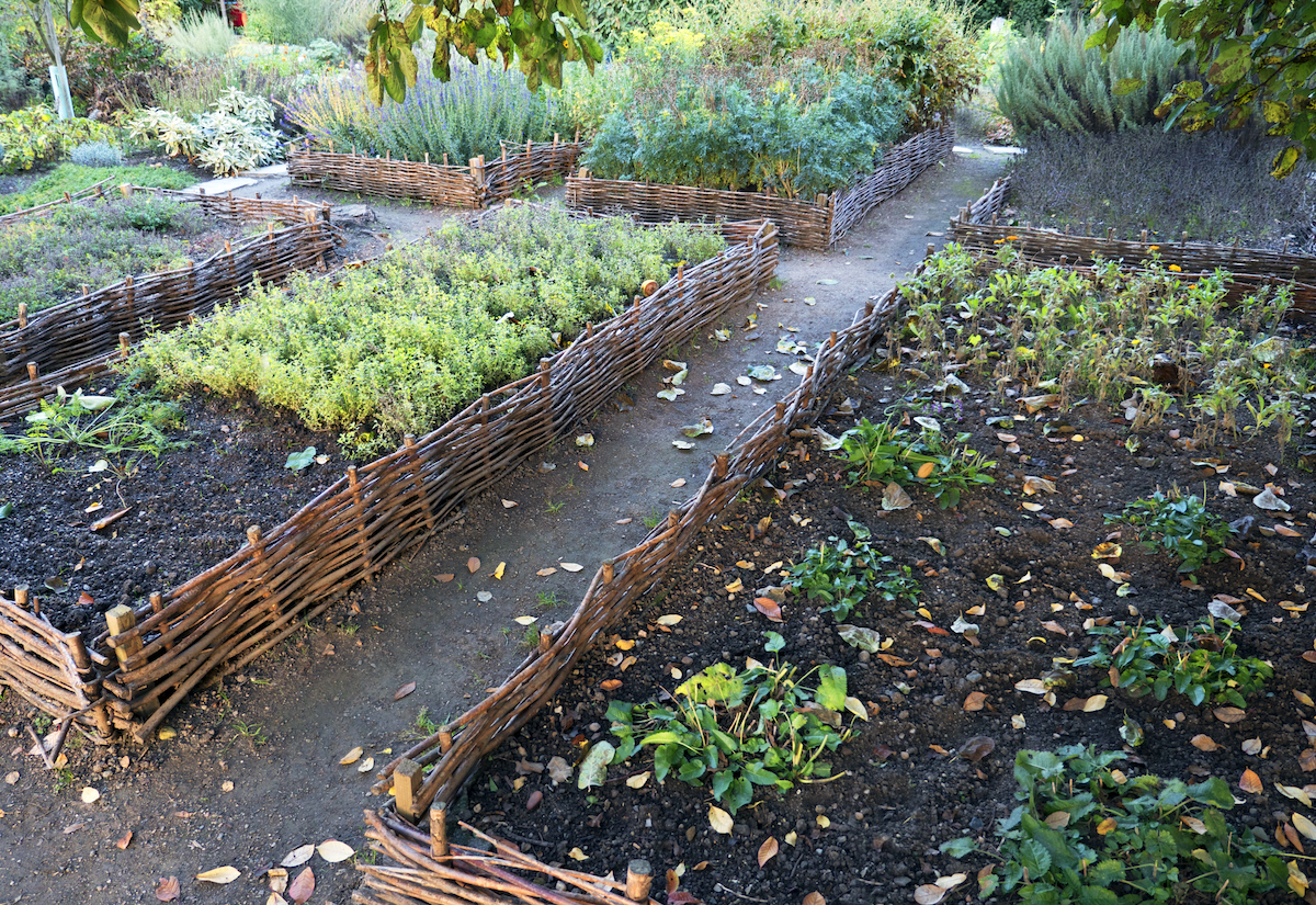 3 Simple Ways to Prepare Your Garden for Winter