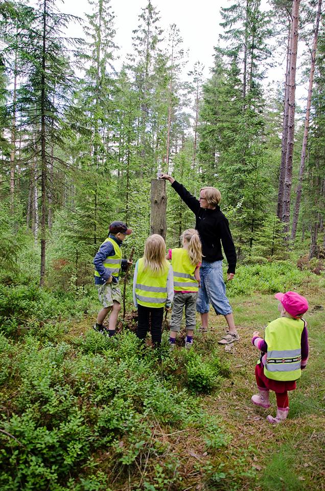Forest Schools: The Benefits of Students Learning in Nature All Day, Every Day