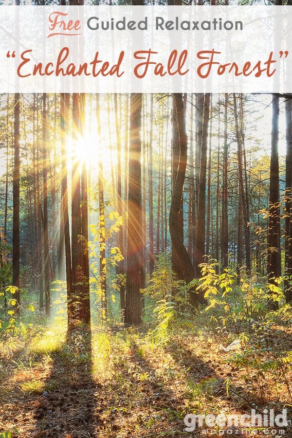 Enchanted Fall Forest Guided Relaxation Script