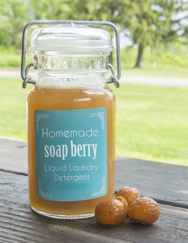 Homemade Liquid Soap Nuts Laundry Detergent