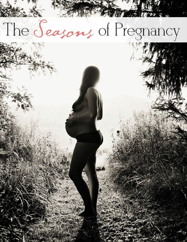 The Seasons of Pregnancy